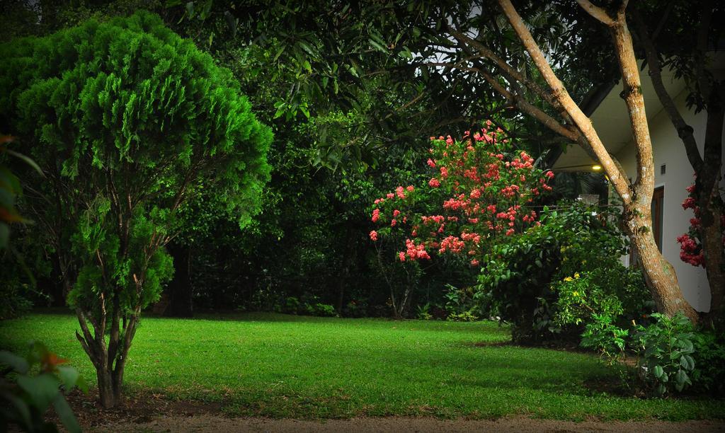 Knight'S Heaven Apartment Kandy Bagian luar foto