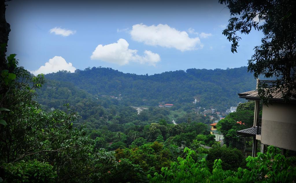 Knight'S Heaven Apartment Kandy Bagian luar foto