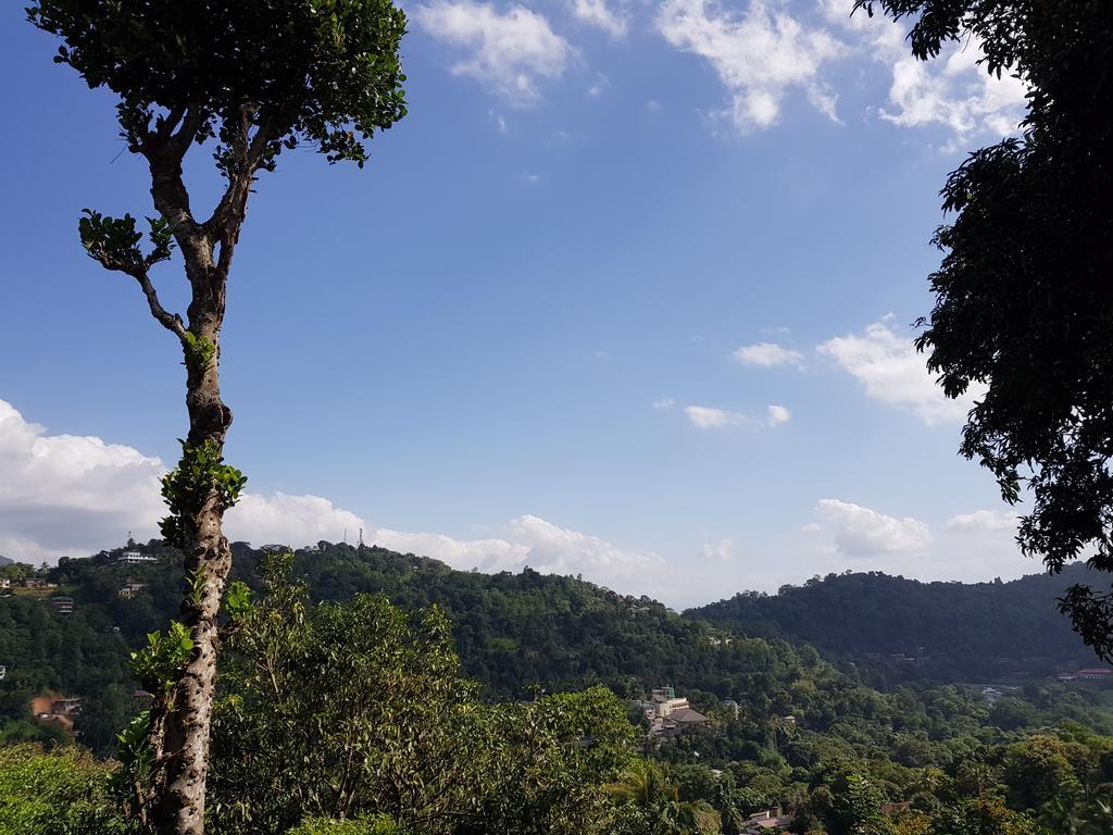 Knight'S Heaven Apartment Kandy Bagian luar foto