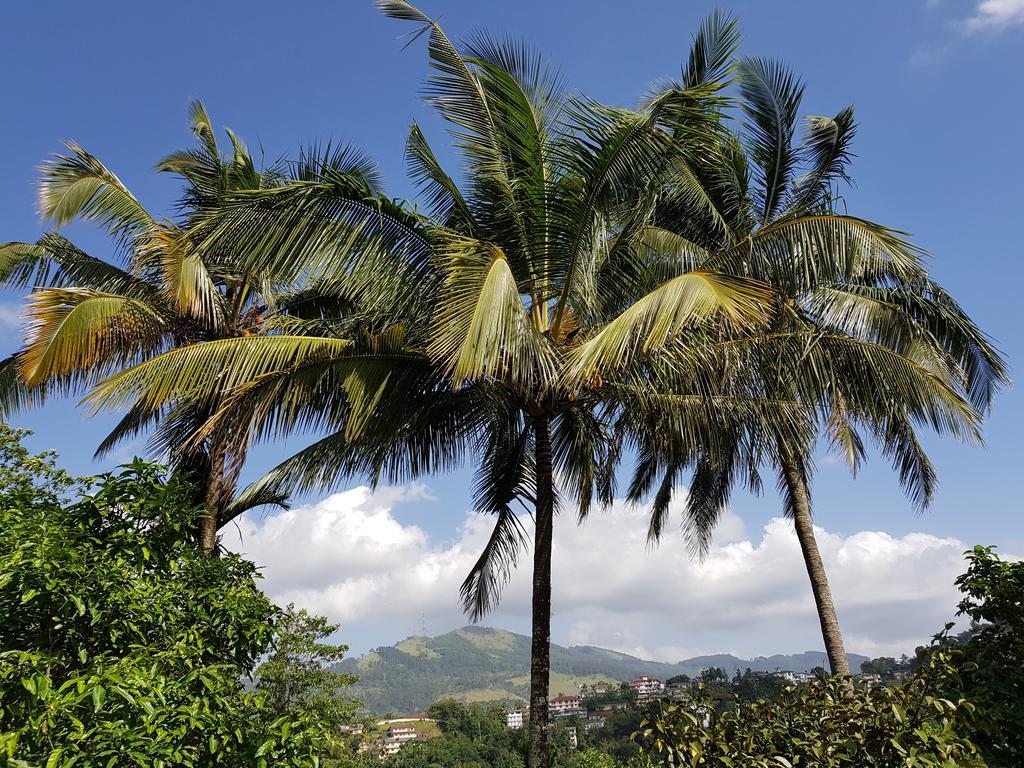 Knight'S Heaven Apartment Kandy Bagian luar foto